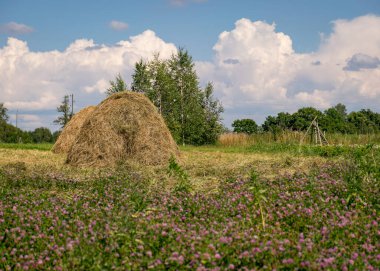 Saman yığınlarıyla güneşli yaz manzarası, bulanık ön plan, gökyüzünde güzel bulutlar, yaz günü