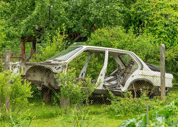 Photo Old Car Wreck Garden Car Has Grown Hall Summer — Stock Photo, Image