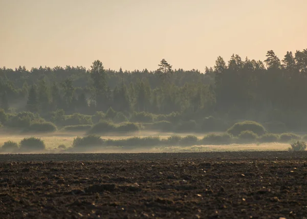 Paisaje Con Niebla Borrosa Temprano Mañana Primer Plano Borrosa Arado — Foto de Stock