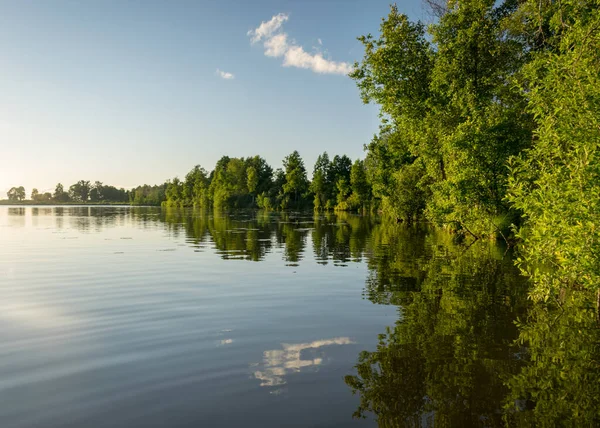 Güneşli bir yaz gününde gölün yeşil kıyı manzarası sakin göl suyunda yansıyor.
