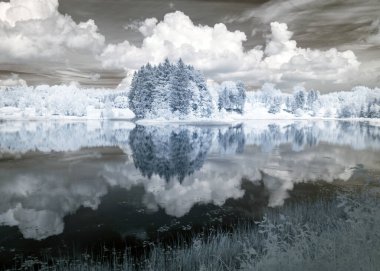 Kızılötesi filtreyle çekilen soyut manzara, kışın ağaçlar gibi görünür, suda güzel bulut yansımaları, gerçeküstü manzara.