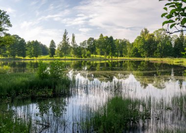 Yaz manzarası bir gölet ve güzel yansımalar, zıt renkler