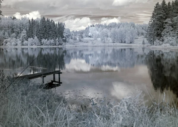 Абстрактный Пейзаж Сфотографированный Инфракрасным Фильтром Деревья Выглядят Зимой Красивые Облачные — стоковое фото