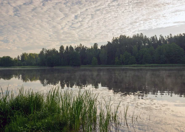 湖の美しい夏の朝の風景 水面の光霧 湖の鏡の美しい雲と素晴らしい反射 水による夏の朝 — ストック写真