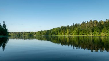 Göldeki ayna görüntüsü, göl kenarındaki yeşil orman mavi suda yansıyor, doğadaki güzellik yaz mevsiminde.