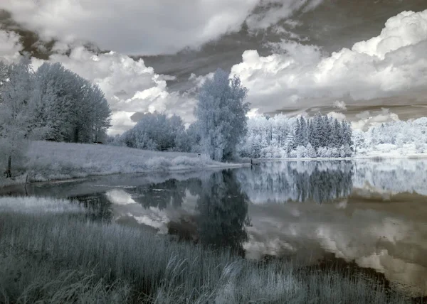 stock image abstract landscape photographed with infrared filter, trees look like in winter, beautiful cloud reflections in the water, surreal landscape