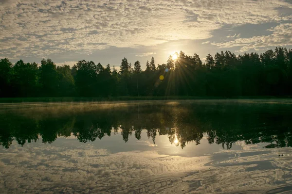 Прекрасный Летний Утренний Пейзаж Озере Легкий Туман Поверхности Воды Красивые — стоковое фото