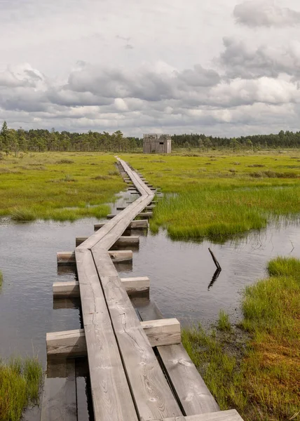 Küçük çam ağaçları olan bataklık sulak alanlarının üzerinde yaya ahşap bir yaya köprüsü olan manzara. Bataklık bitkileri ve göletler, tipik bir Batı Estonya bataklığı. Nigula Doğa Koruma Alanı