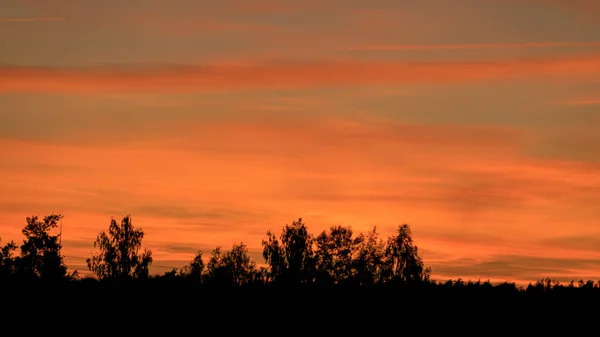 Colorful Sunset Skies Black Tree Silhouettes Summer Time — Stock Photo, Image