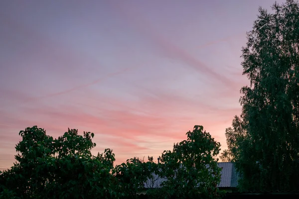 Céu Colorido Por Sol Silhuetas Árvore Preta Hora Verão — Fotografia de Stock