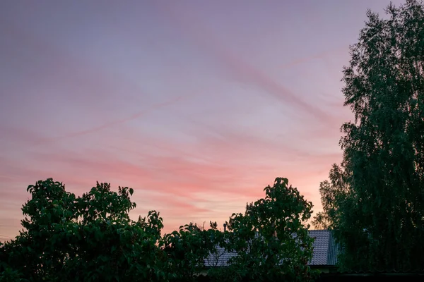 Cielos Coloridos Atardecer Siluetas Árbol Negro Hora Verano — Foto de Stock