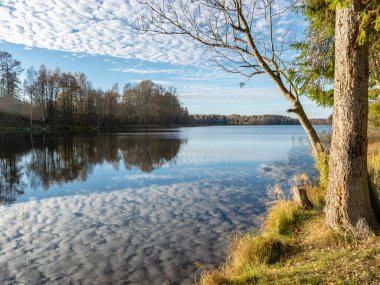 Sonbahar manzarası güzel renkli ağaçlar ve göldeki yansımalar Letonya 'da sonbahar.