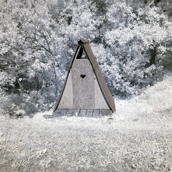 sunny summer landscape, infrared photo snowy tree amazing nature, wooden toilet, unusual surreal view, infrared photography