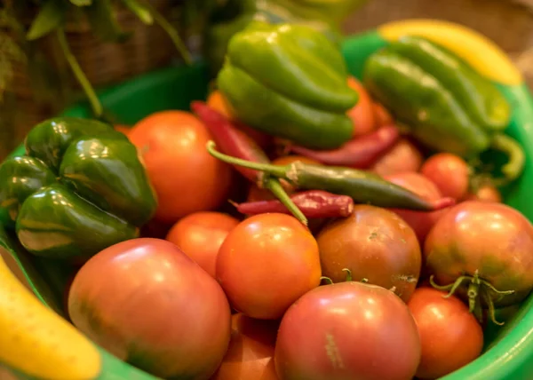 Verschiedene Gemüsesorten Vom Feld Geerntet Und Gewaschen Erntezeit Gemüsekonserven Sommer — Stockfoto