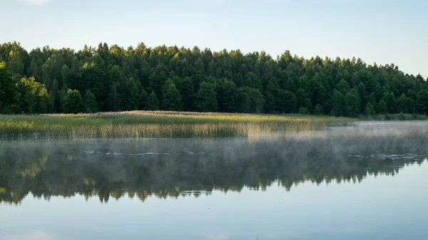 Paysage Matinal Avec Brouillard Sur Lac Matin Été — Photo