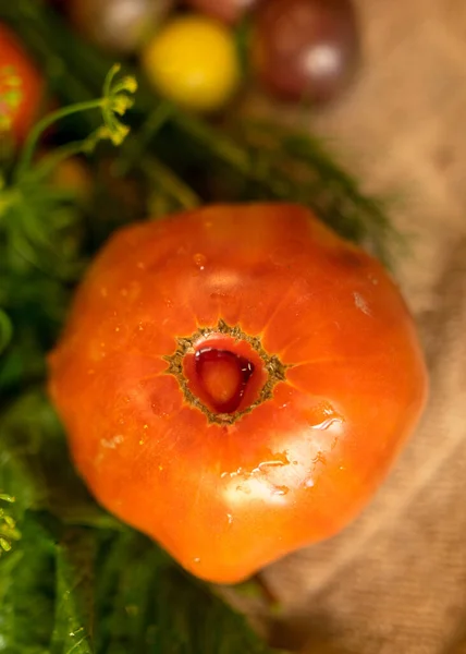 Tomaten Verschiedenen Formen Farben Und Größen Erntezeit Sommerliche Köstlichkeiten — Stockfoto