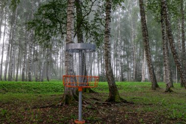 Huş ağacındaki golf arabası, sisli sabah manzarası, sisli arka plan.