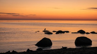 Deniz kenarında turuncu gün batımı, deniz zemininde siyah taş siluetler, yaz akşamı