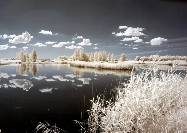 sunny summer landscape, infrared photo snowy tree amazing nature lake reflection, unusual surreal view, infrared photography