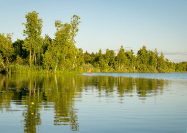 Güneşli bir yaz gününde gölün yeşil kıyı manzarası sakin göl suyunda yansıyor.