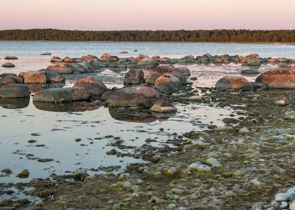 Hermoso Paisaje Del Atardecer Una Playa Rocosa Tradicional Isla Saaremaa —  Fotos de Stock
