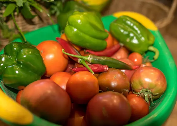 Verschiedene Gemüsesorten Vom Feld Geerntet Und Gewaschen Erntezeit Gemüsekonserven Sommer — Stockfoto