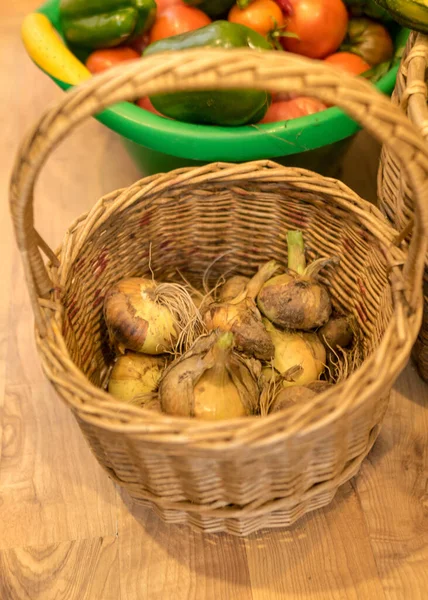 Wicker Basket Onions Harvest Time Autumn Time — Stock Photo, Image