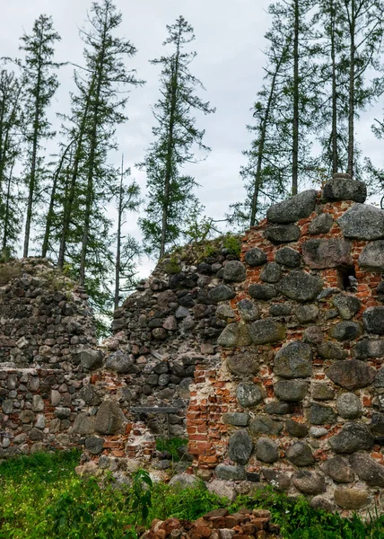 라트비아의 에르게 중세의 석조성의 — 스톡 사진