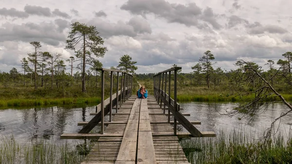 landscape in the summer swamp. woman in a blue jacket on a wooden bridge. bog pond. bog background and vegetation. white clouds. small swamp pines