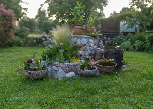 庭からの美しい夏の写真 花のポットの装飾植物 庭の装飾 夏の庭 — ストック写真