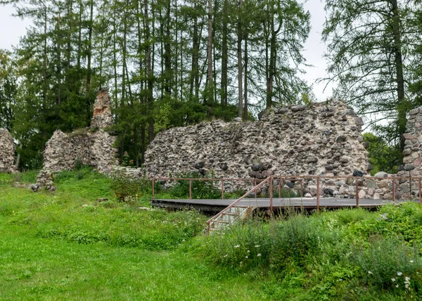 Régi Középkori Kővárrom Ergeme Vár Romjai Lettország — Stock Fotó