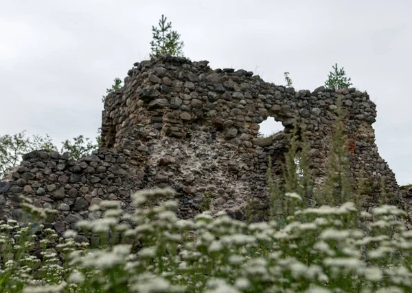 Vieux Château Médiéval Pierre Ruines Ergeme Ruines Château Lettonie — Photo