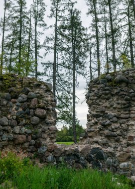 Eski ortaçağ taş kalesi kalıntıları, Ergeme kalesi kalıntıları, Letonya