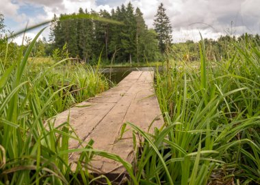 Göl kenarındaki güneşli yaz manzarası, ağaçlar ve kümülüs bulutları göl suyuna yansıyor. Sazlıklarla kaplanmış kıyılar, balıkçıların yeşil çimenler ve sazlıklar arasındaki tahta köprü.