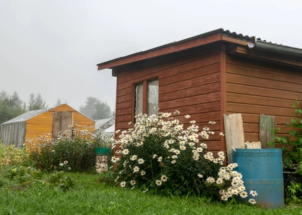 Nebbia Paesaggio Semplice Casa Giardino Legno Bel Giardino Fiorito Autunno — Foto Stock