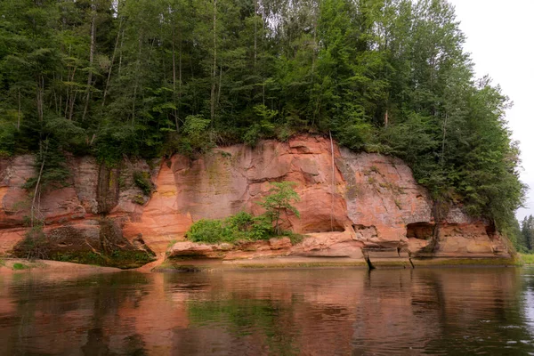 landscape from river to bank, foreground water, beautiful sandstone cliffs on the river bank, trees overgrown river bank, river Gauja, Latvia
