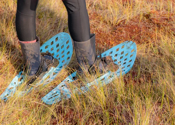 Cuadro Con Zapatos Pantano Botas Sobre Fondo Vegetación Pantanosa Tradicional —  Fotos de Stock