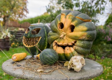 Bahçede oyulmuş balkabakları, Cadılar Bayramı, balkabağı dekoru, mısır ve kafatası, sonbahar zamanı