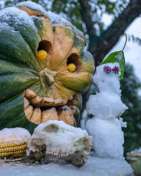 first snow, carved decorative pumpkins in the garden, a little snowman next to pumpkin decors, first snow on pumpkin decors, halloween, autumn time