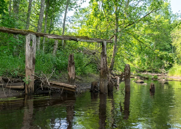 landscape with a small forest river, old bridge site, old wooden logs in the water, low river calm, summer forest river reflection landscape.