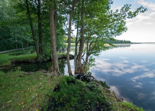 Wolkenreflecties Helder Rustig Meerwater Boomsilhouetten Voorgrond Zomerochtend Aan Oever Van — Stockfoto