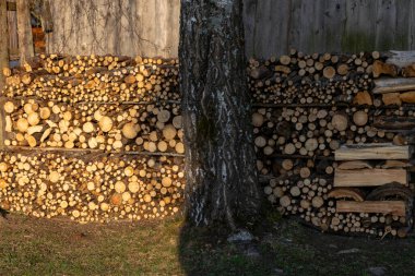 İşlenmiş odun diploması, ısıtma konsepti, yakacak odunuyla ev ısıtma, doğal kaynaklar