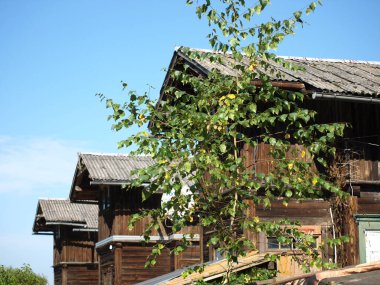 Doğadaki sonbahar manzarası, tarihi Lgatne köyünün detayları ve parçaları, Ligatne, Letonya 'daki ahşap bir binanın detayları.