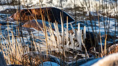 Deniz kıyısında kış manzarası, rüzgarlı kış günü, su damlaları, deniz kıyısında buzlu taşlar, Baltık Denizi, Letonya
