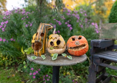 Bahçedeki eski Cadılar Bayramı balkabakları korkunç Jack O Lantern Cadılar Bayramı balkabakları, tatilden sonra çirkin balkabakları, Cadılar Bayramı