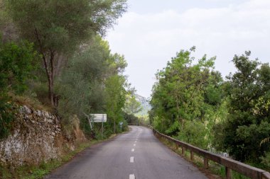 Ağaçların arasındaki yol. mallorca bisiklet yolu