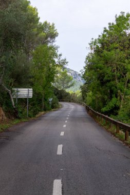 Ağaçların arasındaki yol. mallorca bisiklet yolu