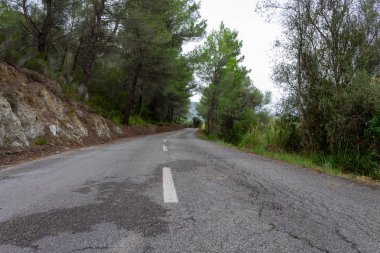 Ağaçların arasındaki yol. mallorca bisiklet yolu