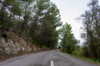 Ağaçların arasındaki yol. mallorca bisiklet yolu