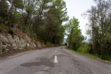 Ağaçların arasındaki yol. mallorca bisiklet yolu